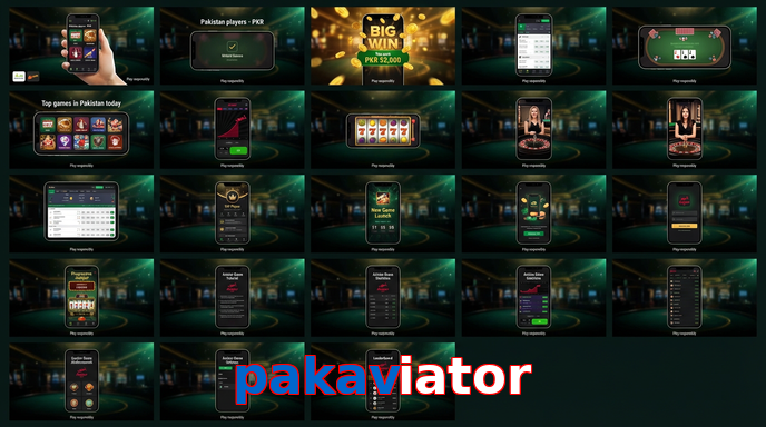 Main screen of Pakaviator bet page for PK players