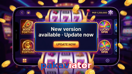 Payment and PKR controls in Pakaviator