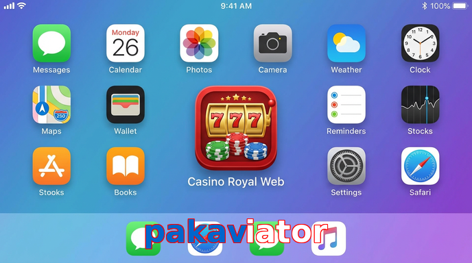 Payment and PKR controls in Pakaviator
